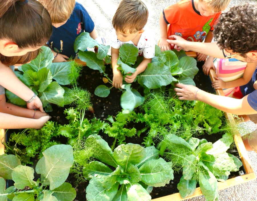 Bambini di eta diverse e un'educatrice curano insieme l'orto didattico di Explora